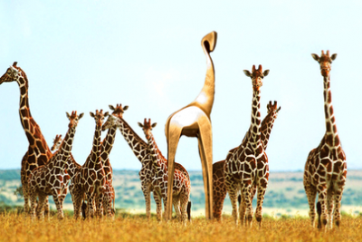 Gouden Giraffe Event Awards - De Vegetarische Giraffe
