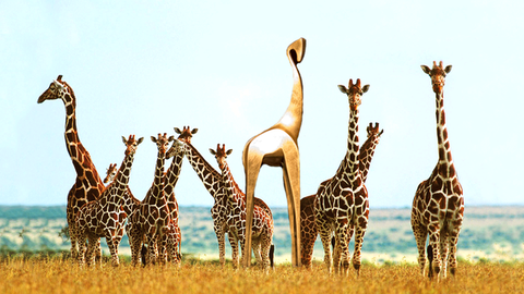 Gouden Giraffe Event Awards - De Vegetarische Giraffe
